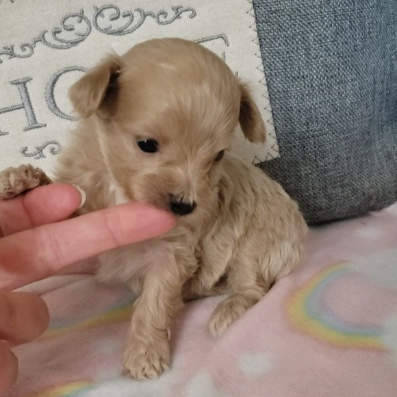 PRINCESS RAYNNE 💗💗💗 - Picture 16 of 17